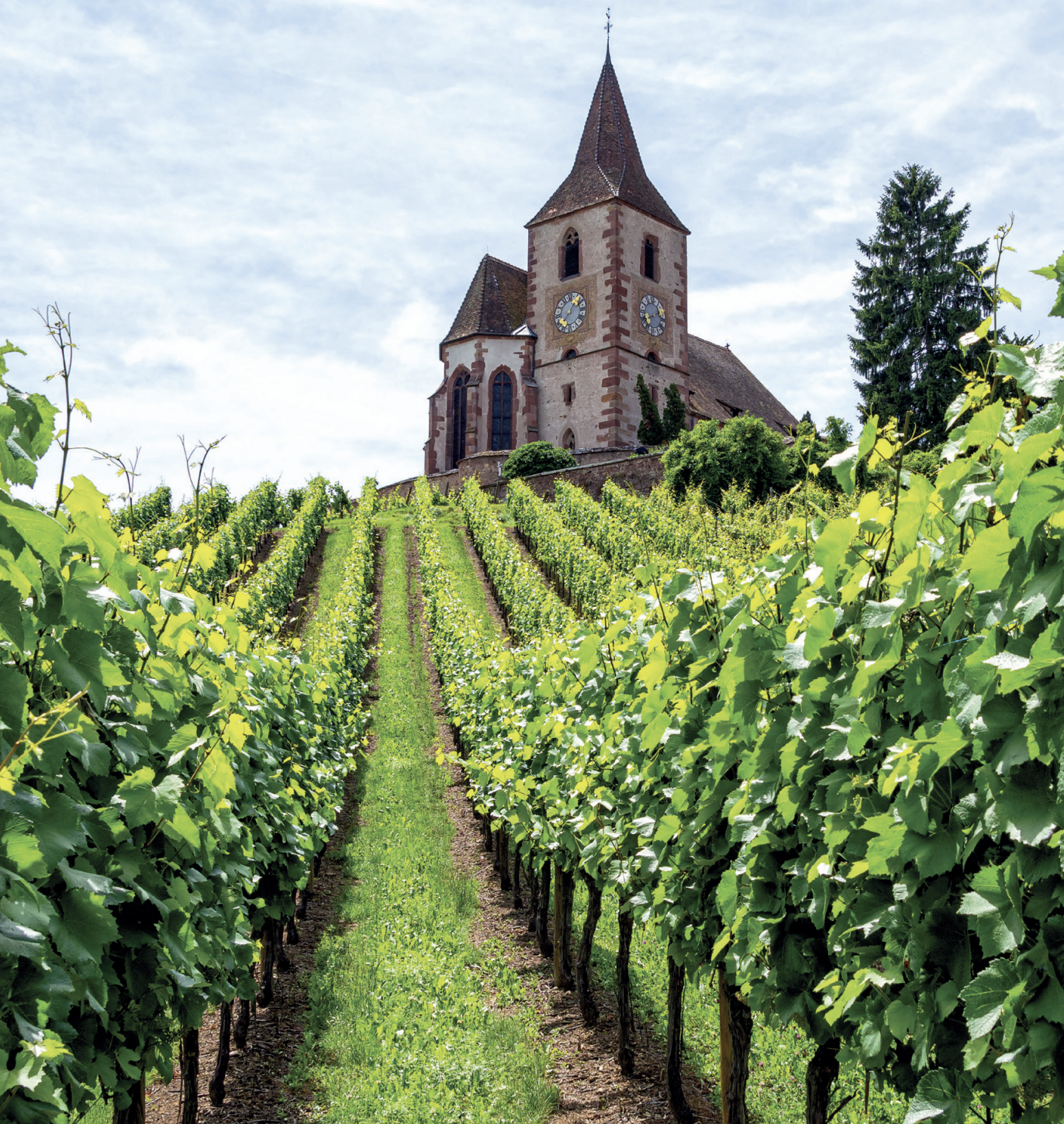 Escapades en terres de vin : l’Alsace