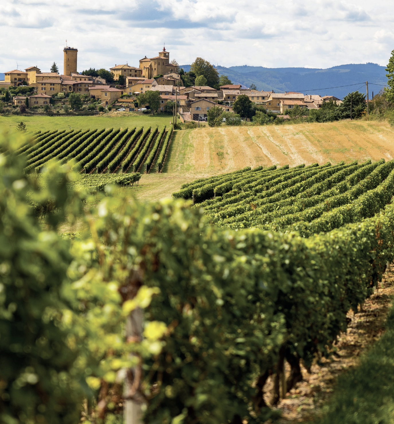 Escapades en terres de vin : le Beaujolais