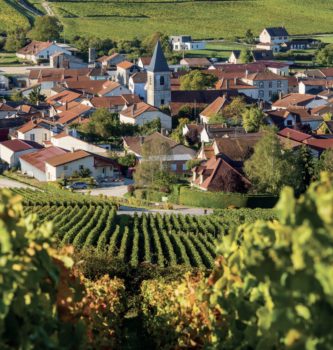 Escapades en terres de vin : Bordeaux
