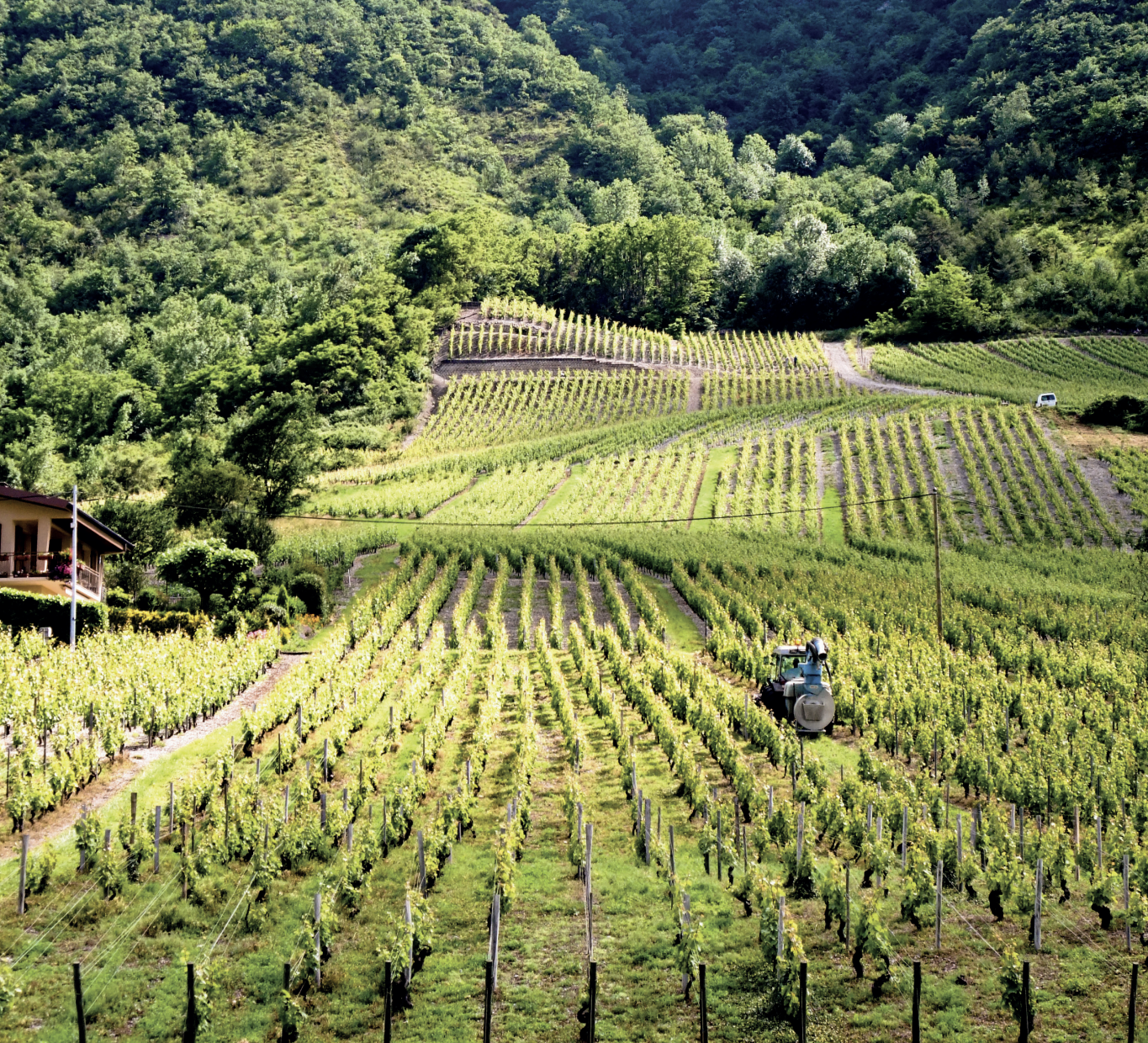 Escapades en terres de vin : la Savoie-Bugey