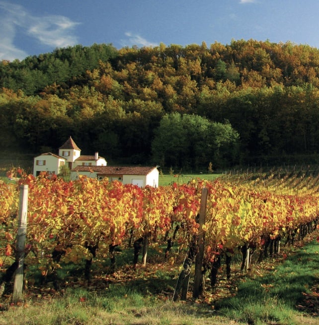 Escapades en terres de vin : le Sud-Ouest